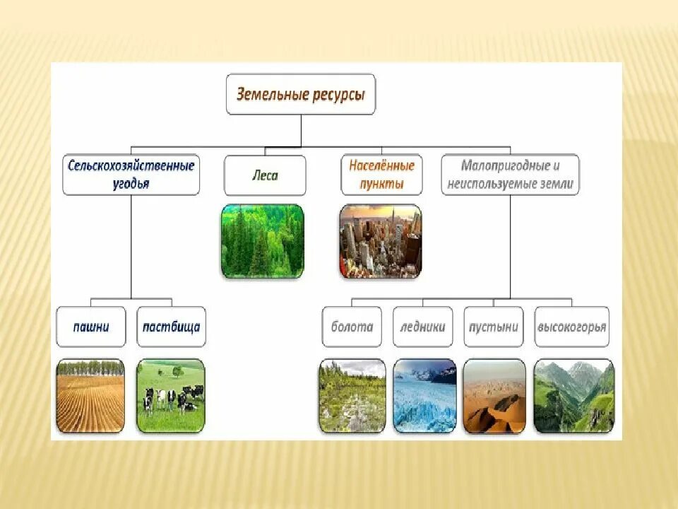 Природные ресурсы земной коры 7 класс. География 7 кл природные ресурсы. Схема природных ископаемых. Ресурсы земной коры презентация. Природные запасы 7