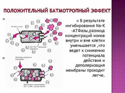 Батмотропный эффект