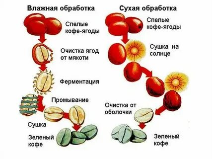 Методы обработки кофе