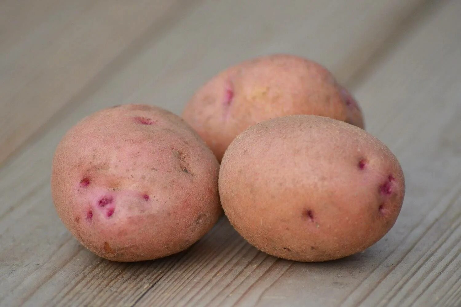 Сорта розовой картошки. Картофель сорта Ильинский. Сорт Накра картофель.