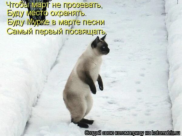 весело сидим песни. песенка кота леопольда ноты для гитары. весело сидим песни. сидели два медведя. музыканты на улице.