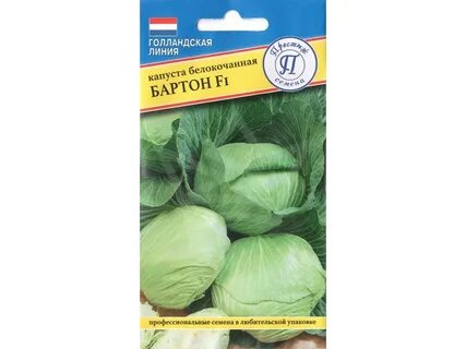 Сорт капусты бартон