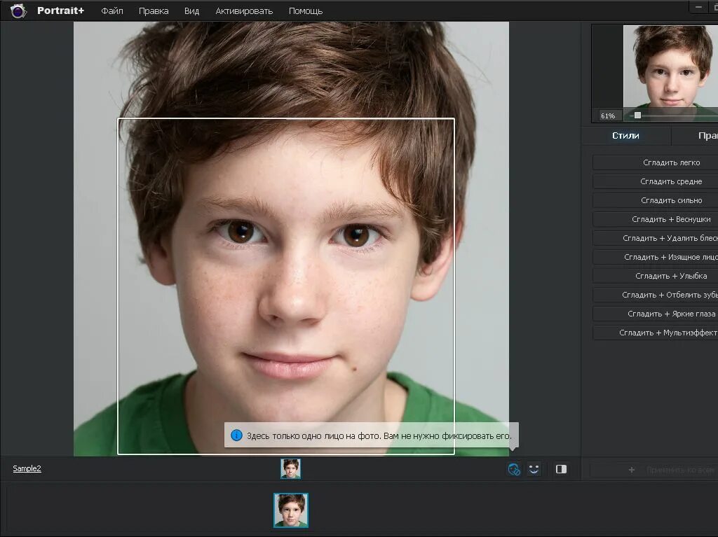 Arcsoft portrait. Арксофт портрет. программы для поиска лица по фото. arcsoft portrait аналог.