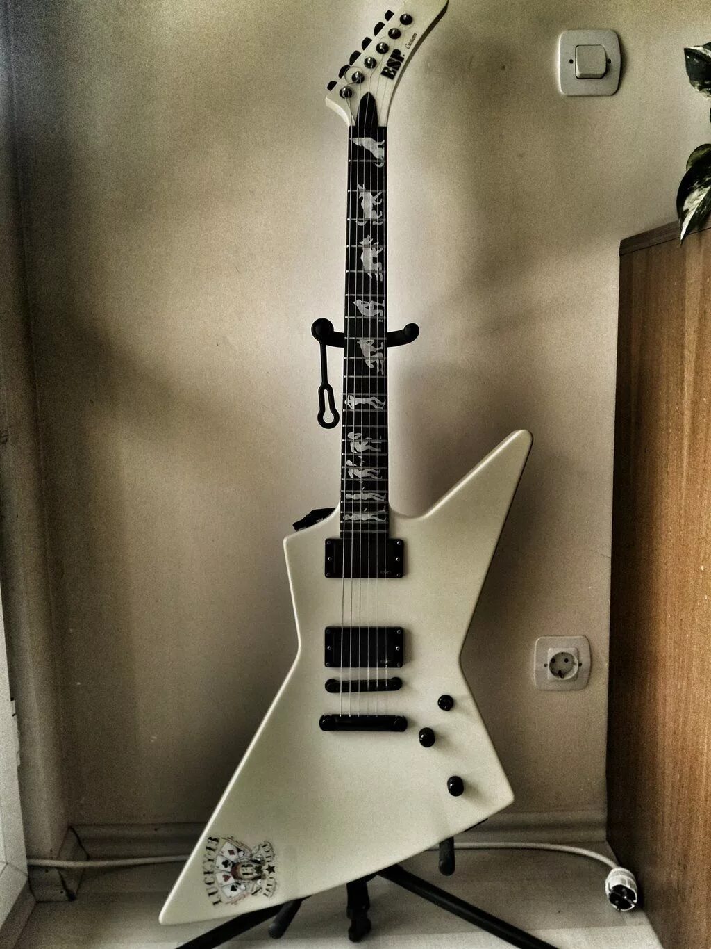 Гитара хэтфилда. Гитара esp james hetfield. джеймс хэтфилд с гитарой. esp guitars эксплорер хэтфилд. гитары explorer james hetfield.