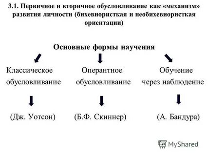 В соответствии с приведенной ниже