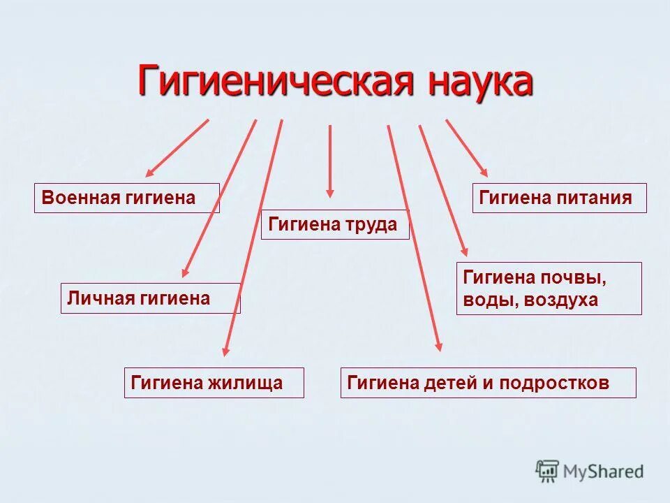 Гигиена это наука. Гигиена схема. Личная гигиена схема. Презентация на тему личная гигиена.