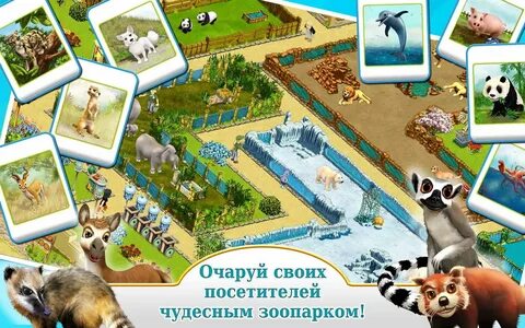 Zoooma