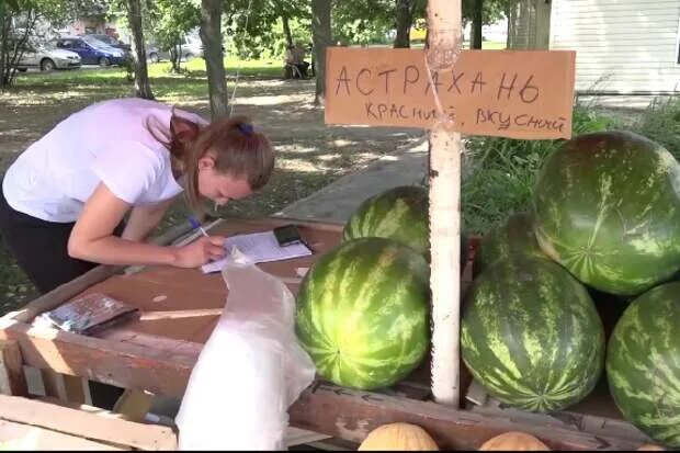 Арбуз тяжелее дыни. Тамбовский Арбуз. Дыня на грядке. Праздник дыни. Продажа арбузов и дынь.