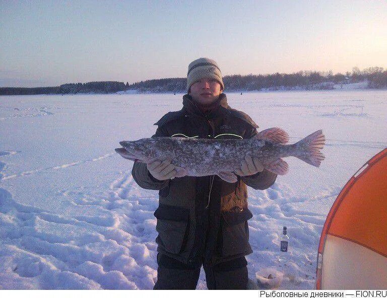 Рыбалка Можайское водохранилище Красновидово. Рыбы Можайского водохранилища. Зимняя рыбалка на Можайском водохранилище. Рыбалка в Можайске.