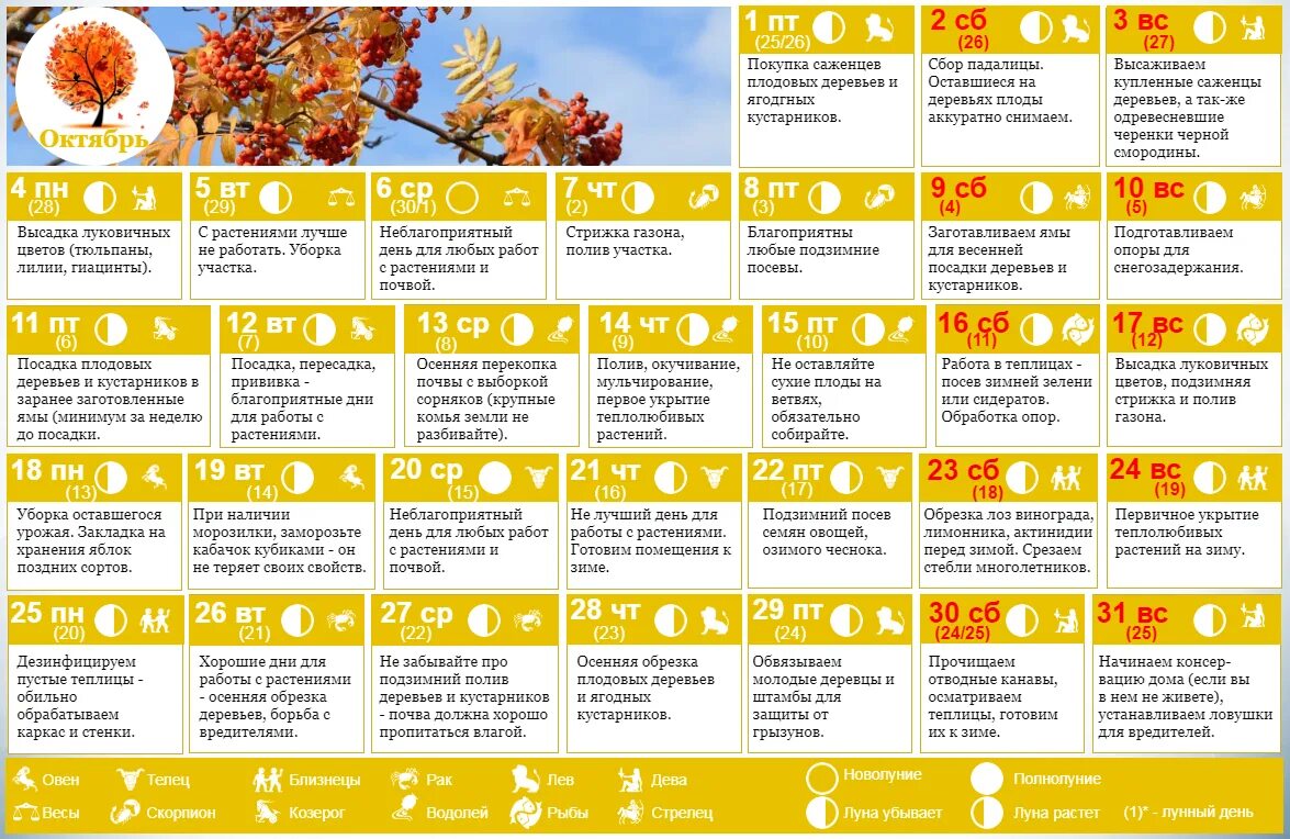 Благоприятные знаки зодиака для посадки. Лунный календарь. Лунный календарь календарь. Праздники лунного календаря. Лунный календарь на октябрь 2021 года.