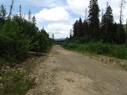 Погода в золотом хабаровский край