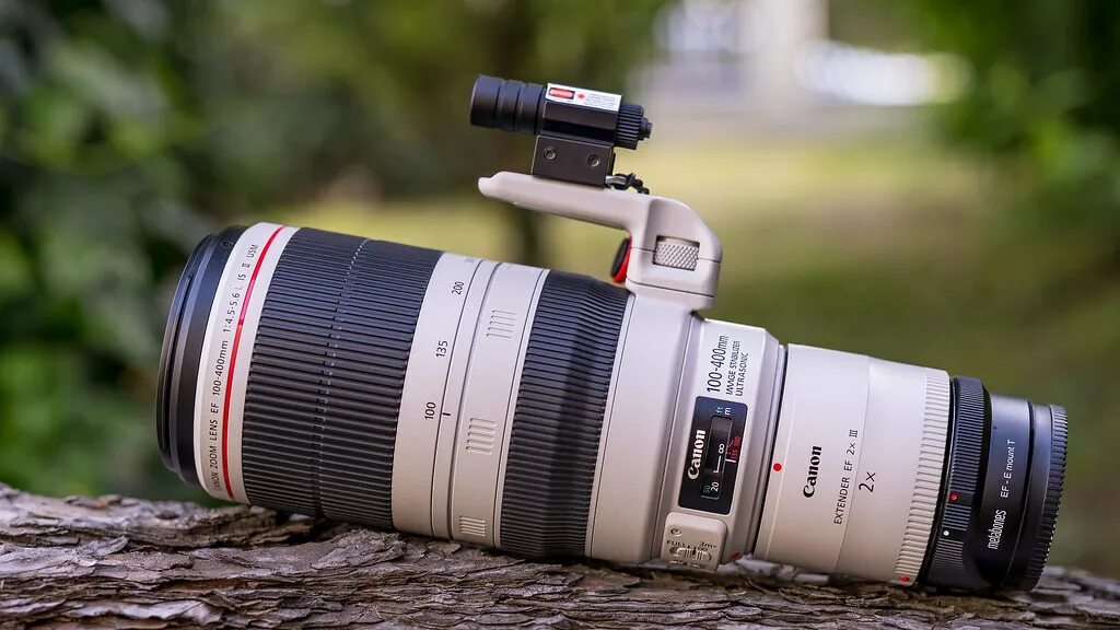 Canon 100-400. Sony 100-400. 200-600мм Canon. Sigma 2l 20х2.