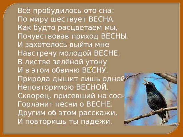 Вся природа вся природа пробудилась ото сна. Пробудиться ото сна. Природа просыпается ото сна. Вся природа пробудилась ото сна Наурыз.