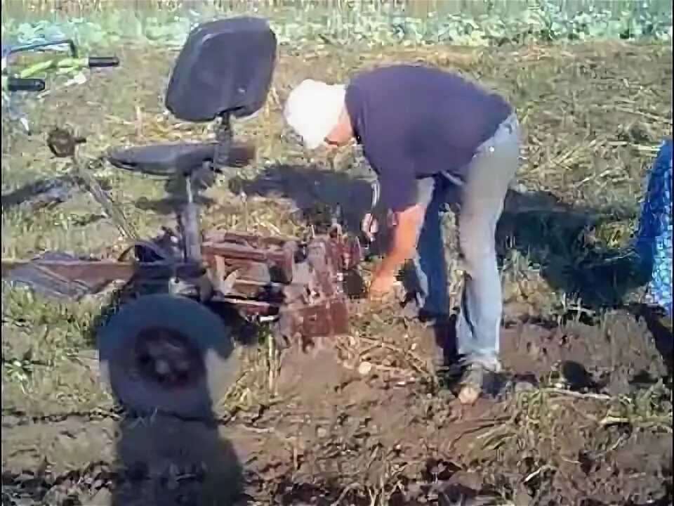 Как копать мотоблоком. Копалка для мотоблока зубр. копка картофеля культиватором. мотоблок копать картошку. копка картофеля мотоблоком.