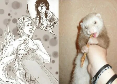 Violet s wildlife diary