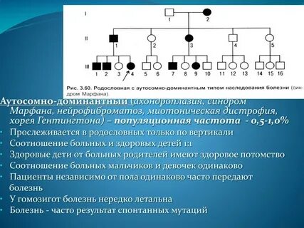 1 1 1 1 тип наследования