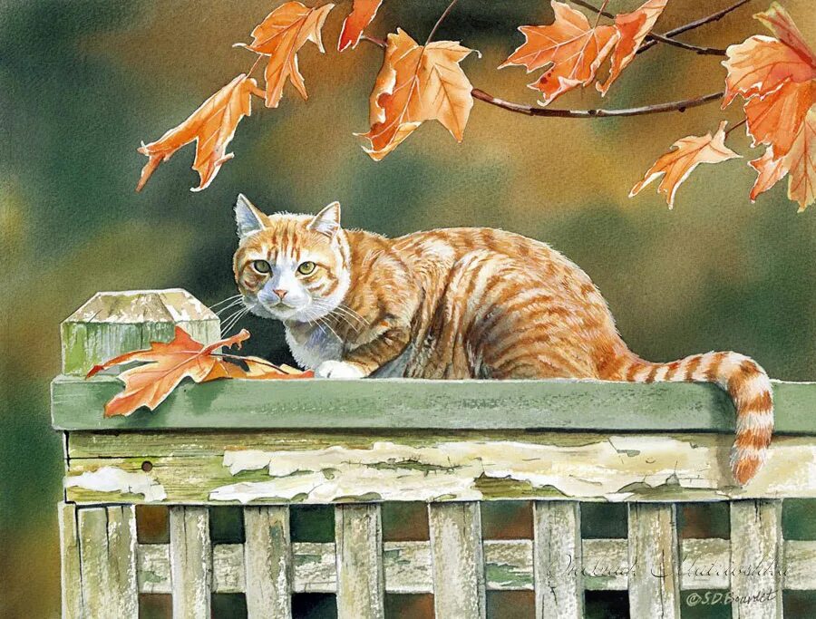 Много кошек. Стих ах как много на свете кошек есенин. Сьюзен бордет картины кошки. Фотографии котят. Есенин стих про кошку.