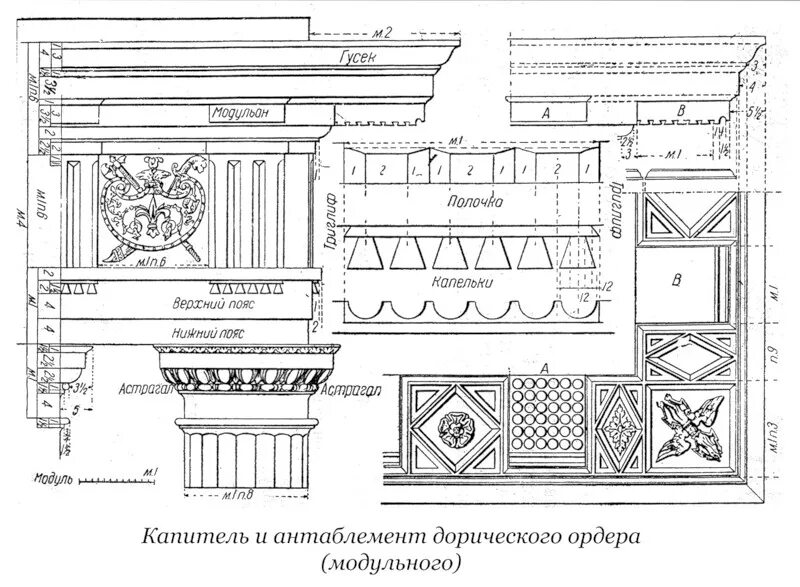 Греческие названия элементов. Капитель дорического ордера чертеж. Римско дорический ордер чертеж. Дорический ордер в римской архитектуре. Римско дорический ордер Капитель.