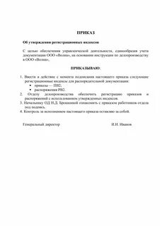 Аналитический приказ