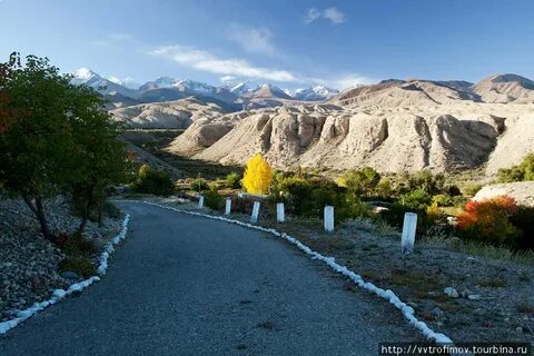 Куль тамга