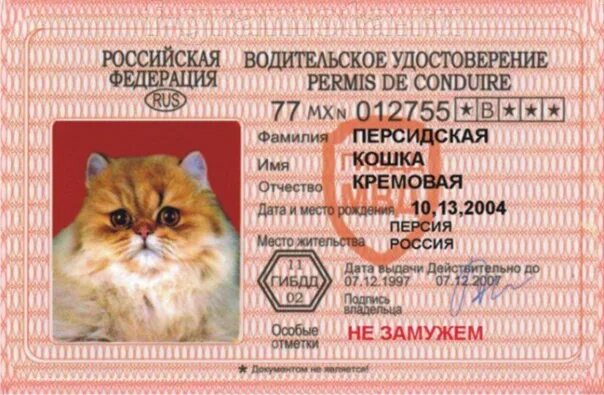 Ву организации. Ву организации