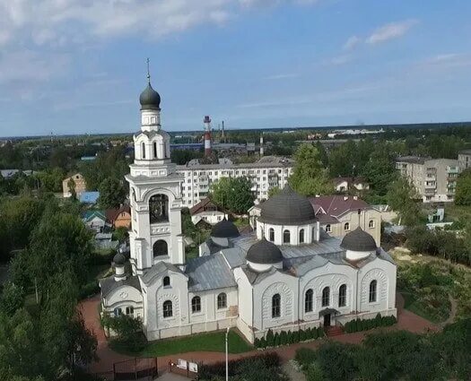 Дрессировка собак Электроугли