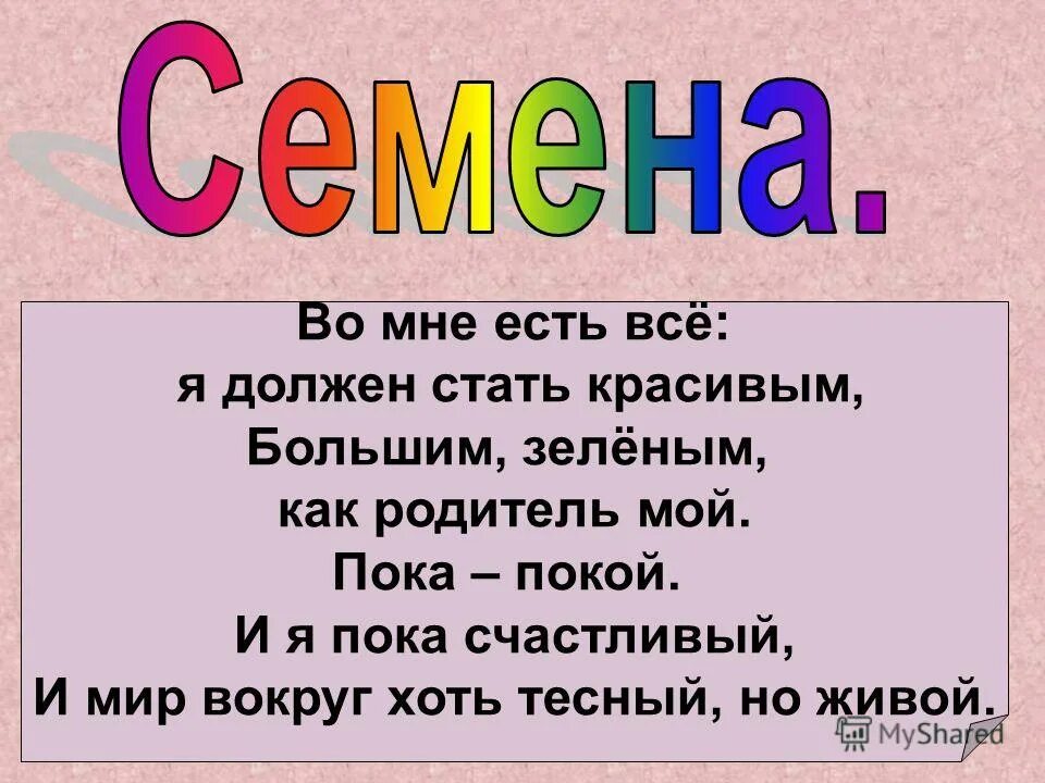 Семья картинки мультяшные. Хоть тесно. Вечер для детей. Пословицы и поговорки про семь. Хоть тесно.