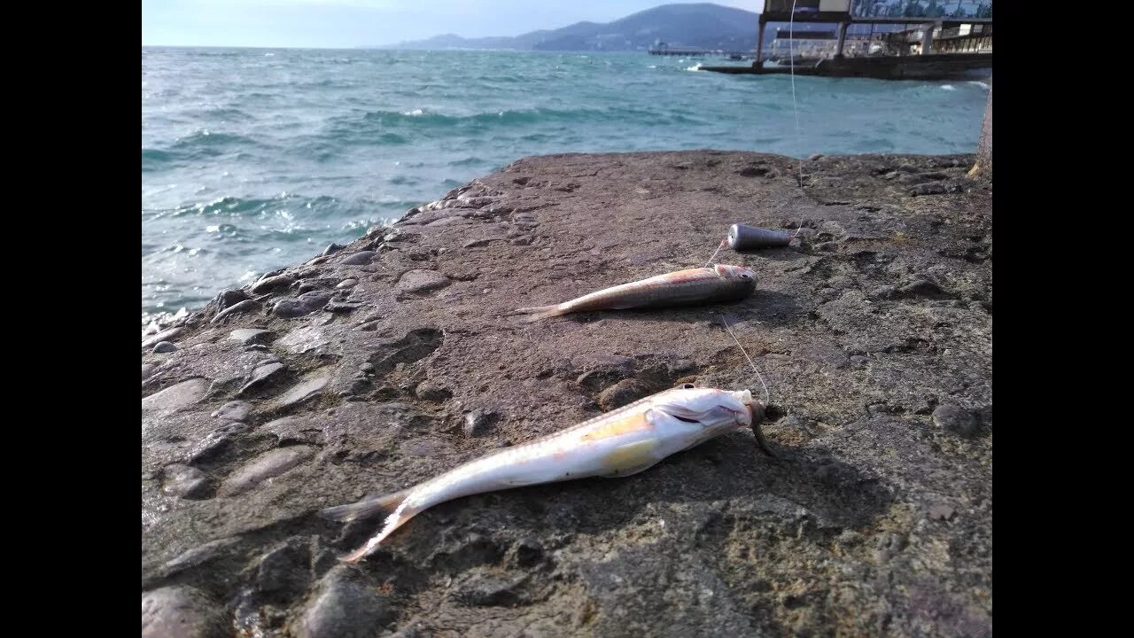 Ловля барабули в черном море с берега. Снасть на барабульку на черном море. Ловля барабульки в черном море. Барабуля снасть. Что ловят на берегу черного моря