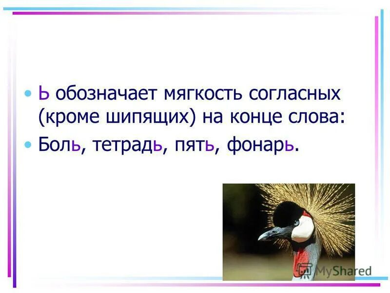 мягкий знак показатель мягкости согласного. обезьяна ь обозначает мягкость. мягкий знак показатель мягкости и разделительный. роль мягкого знака в словах. роль разделительного мягкого знака.