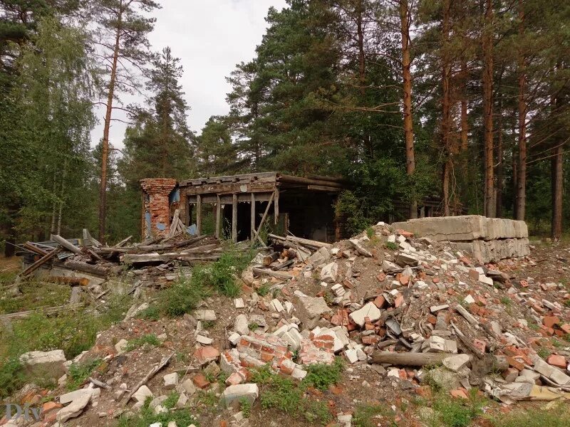 Лагерь атмосфера. Заброшенный лагерь атмосфера город луга. пионерский лагерь атмосфера луга. заброшенный детский лагерь на луге. лагерная атмосфера.