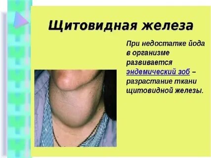 Сообщение о нарушении работы эндокринной системы