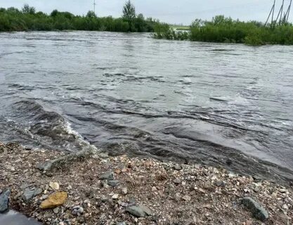 На сколько поднялась река