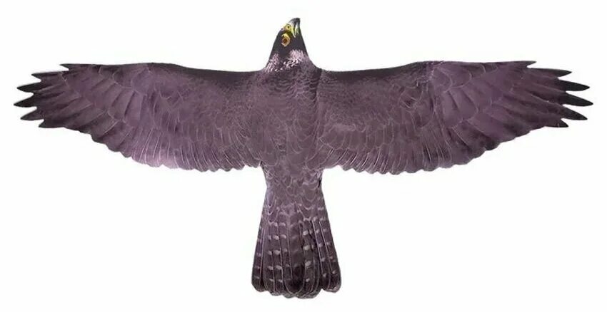 Отпугиватель птиц Коршун. Визуальный отпугиватель птиц хищник. Хищная птица для отпугивания птиц. Хищник-4 визуальный отпугиватель птиц.