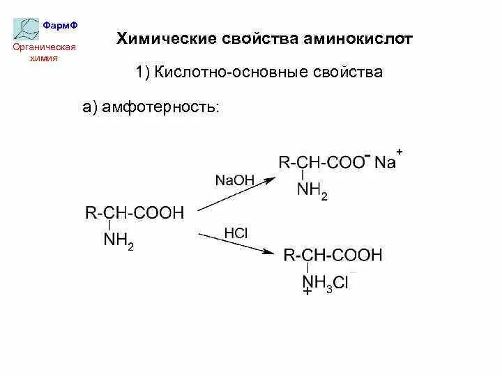 Химические свойства аминокислот кислотные. Химические свойства аминокислот кислотно-основные свойства. Химические свойства аминокислот Амфотерность. Амфотерность аминокислот реакции.