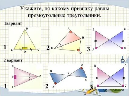 Задачи на признаки равенства прямоугольных треугольников 7 класс по готовым чертежам