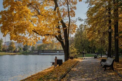 Осенний парк москвы