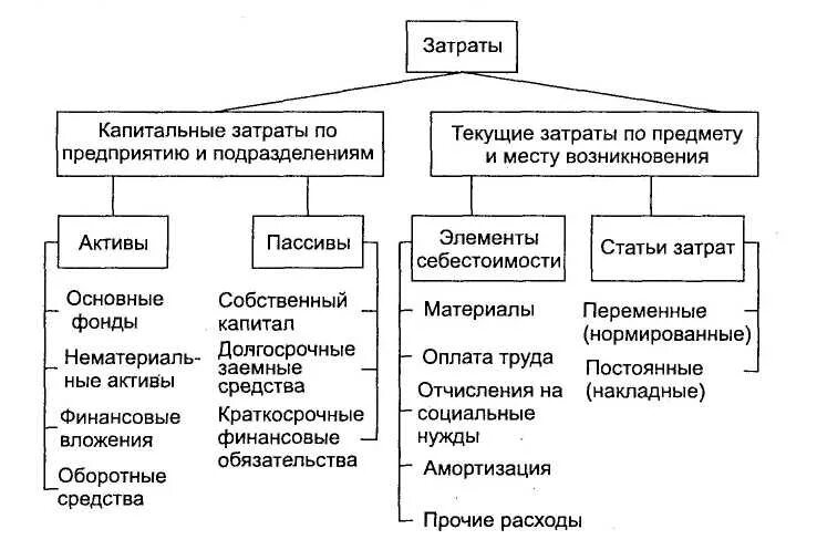 Капитальные затраты организации