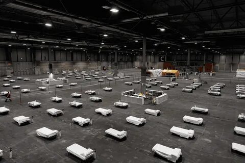 Пандемия коронавируса 2020