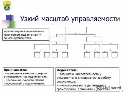 Организация масштаб