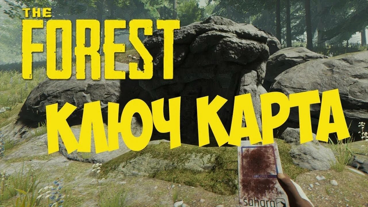 Где найти шагомер в the forest. Где найти шагомер в the forest