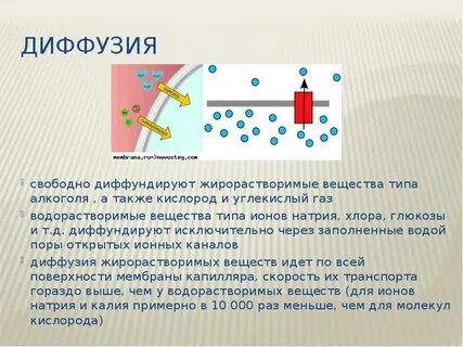 Диффузия кислорода и углекислого газа