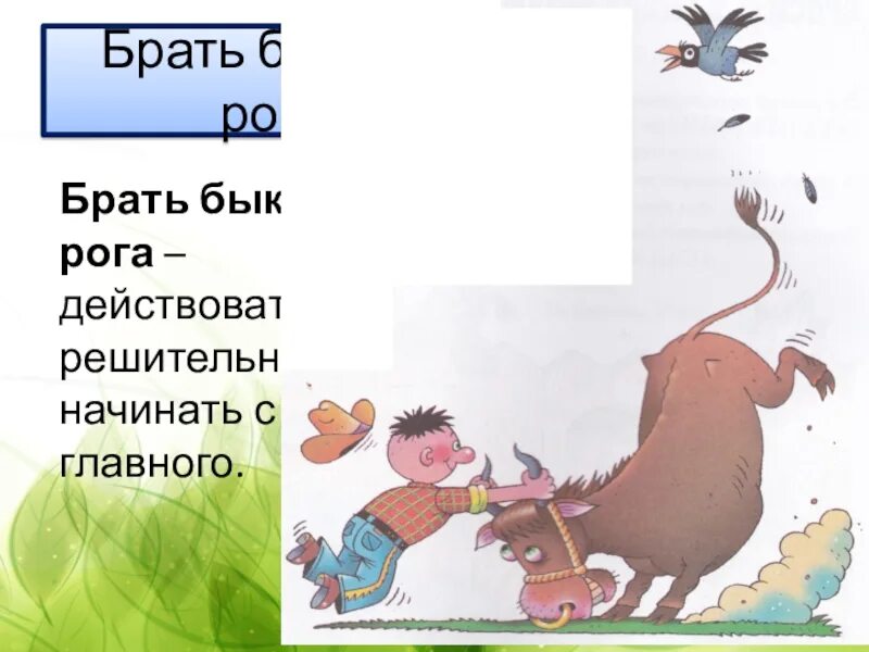 Что значит быка за рога. Взять быка за рога фразеологизм. взять быка за рога. быка за рога значение.