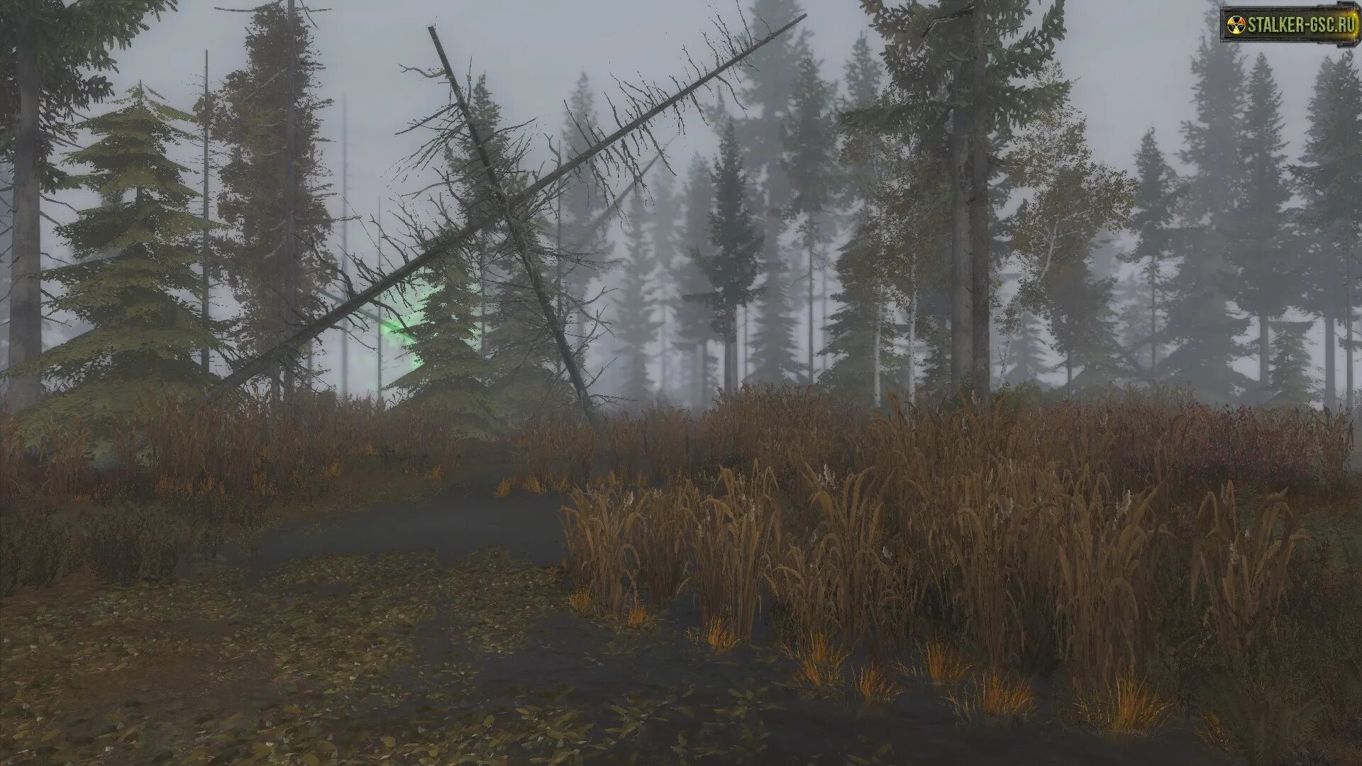 затон сталкер лесничество. сталкер legend returns. лост альфа припять. затон сталкер лесничество. лесничество зов припяти.
