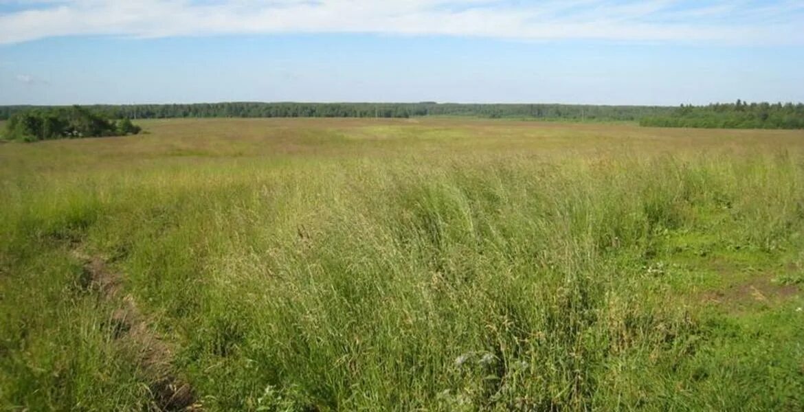 Средняя стоимость 1 гектара земли. Пахотные земли украины по областям. Стоимость гектара земли. Земли татарстана. Агротуризм 2022.