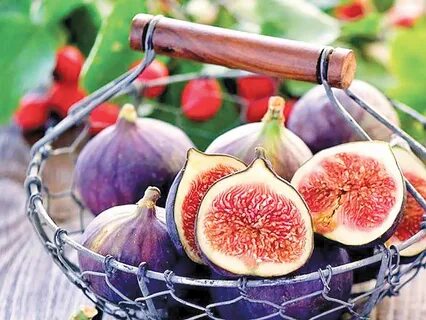 Мифические фрукты