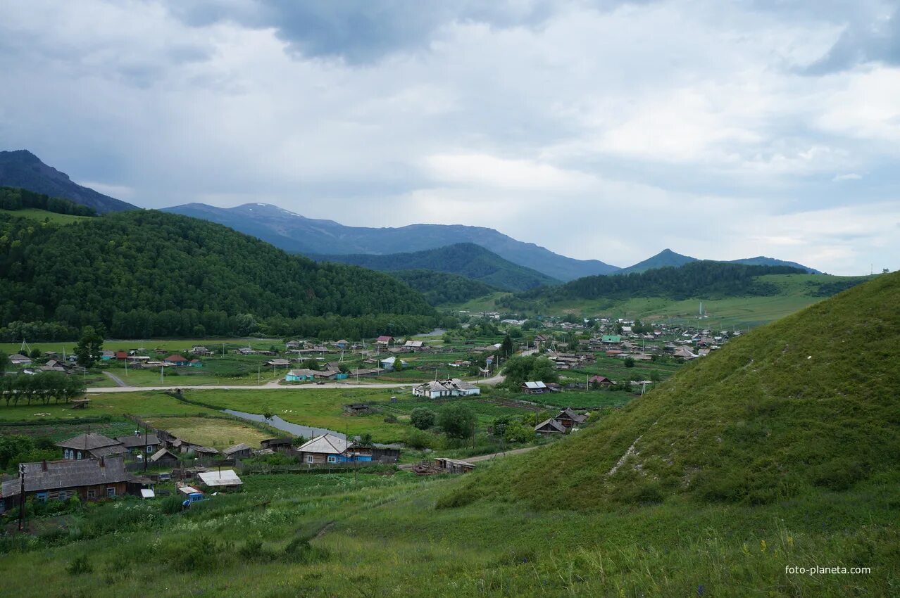 Деревня Топольное Алтайский край. Топольное Солонешенский район Алтайский. Село Топольное Алтайский край Солонешенский. Село Туманово Солонешенский район Алтайский край. Погода солонешенский сибирячиха алтайский край