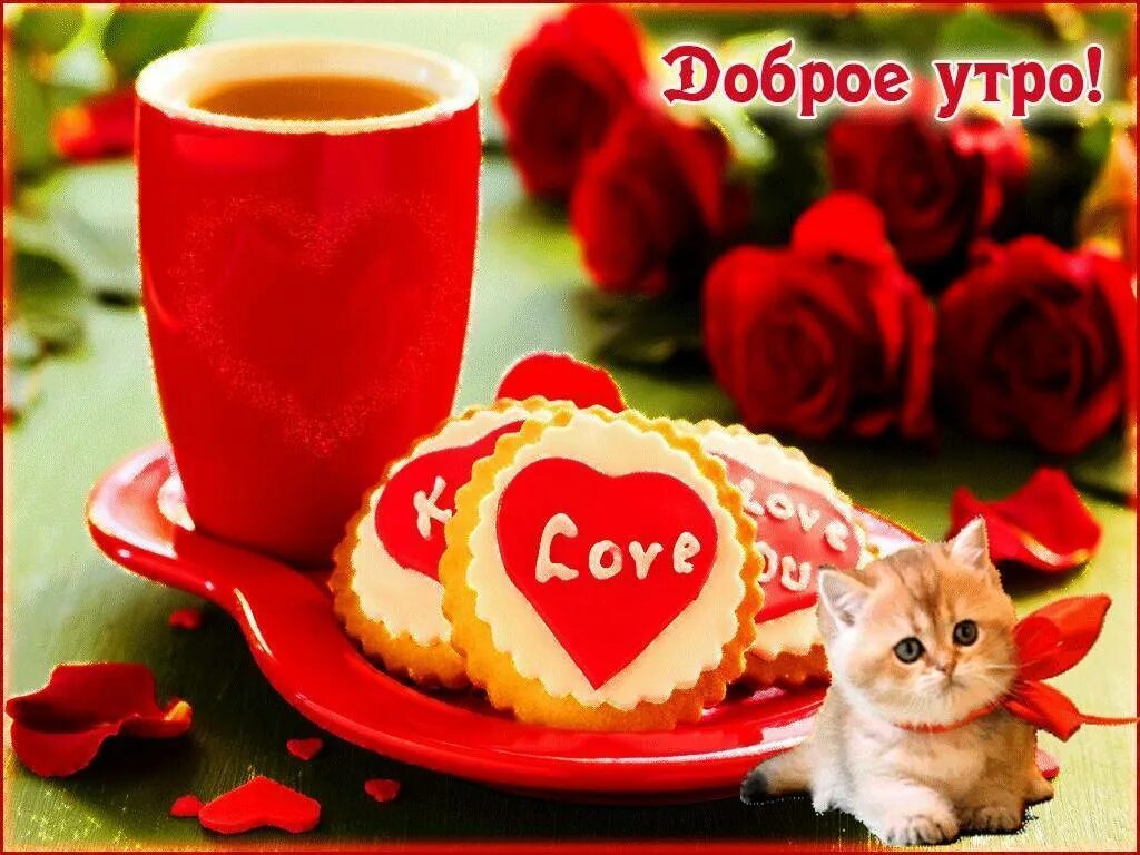 Доброе утро девушке. С добрым утром любимой девушке. Пожелания с добрым утром любимой. Открытки с добрым утром любимая. С доюови утром любимая.