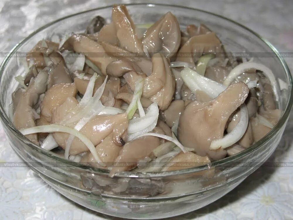 Как вкусно замариновать грибы вешенки. Вешенки грибы мариновка. грибы марин вешенки. грибы вешенки корейски. грибы вешенка маринованные.
