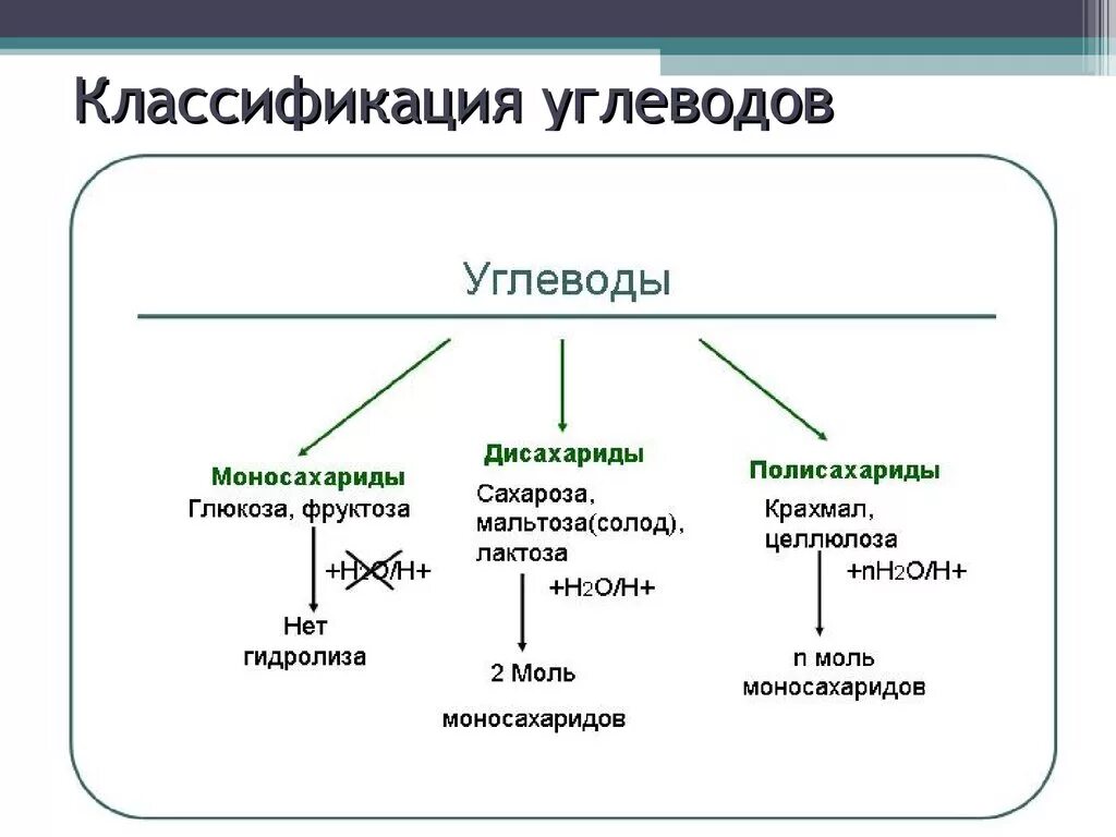 Углеводы структура и функции. Классификация углеводов моносахариды дисахариды и полисахариды. углеводы простые и сложные моносахариды дисахариды полисахариды. углеводы виды и функции. функции простых и сложных углеводов.