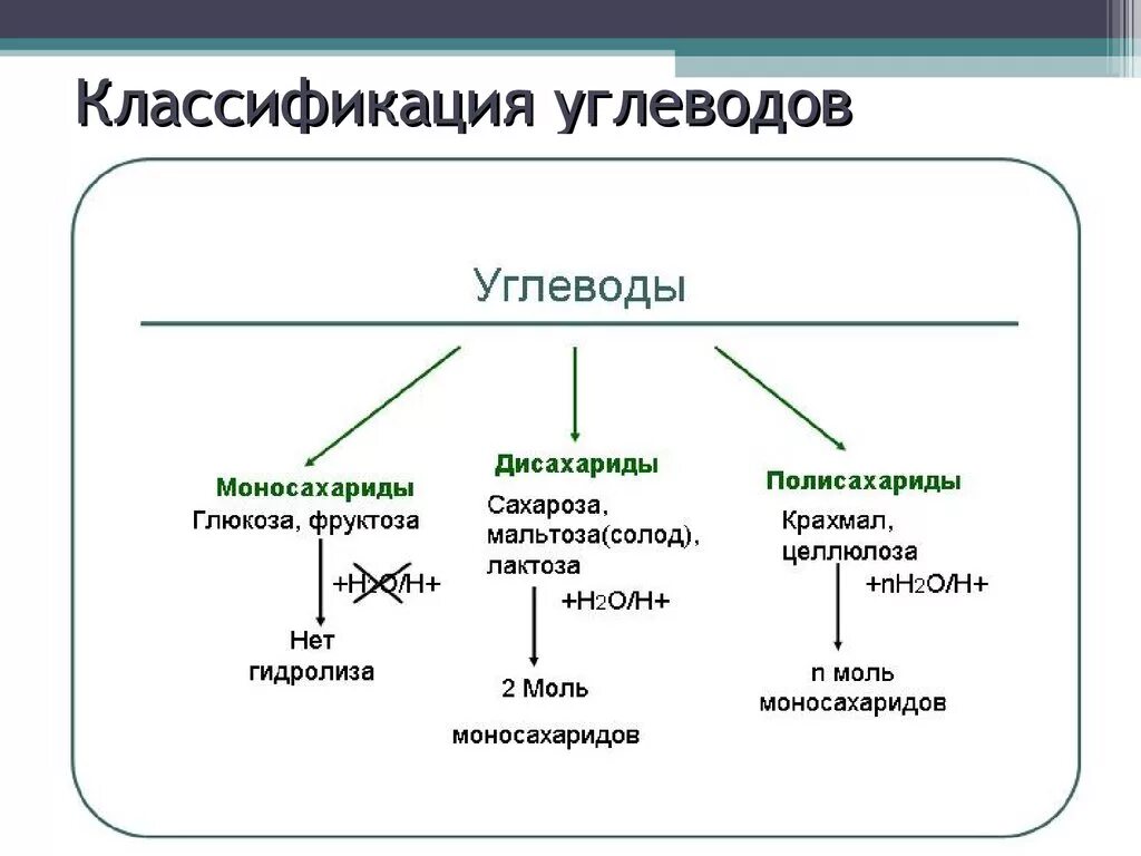 Названия групп углеводов. Углеводы виды и функции. Функции сложных углеводов. Функции простых и сложных углеводов. Классификация углеводов моносахариды.